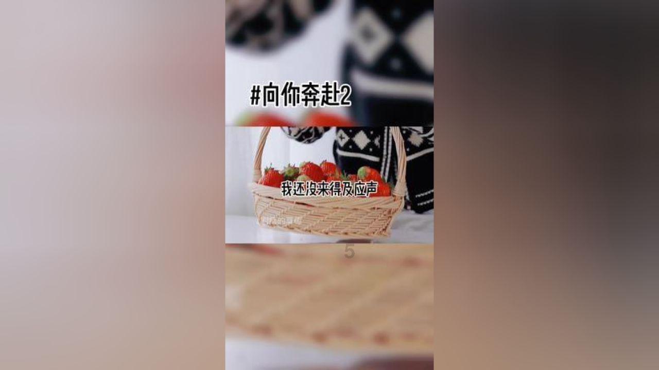 兰博基尼填颜色